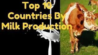 Top 10 Countries By Milk Production|Milk Production|India Milk|US Milk|Milk Production|Milk|Cow Milk