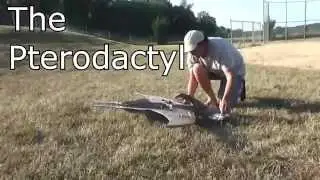 Remote Controlled Pterodactyl with rcdads