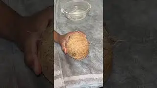 Solid brass knuckles vs. small coconut #satisfying #phonkmusic #satisfyingvideo