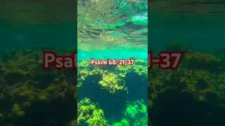 Praying Psalms 68: 21-37. Nature & Scripture. #sacredscriptures