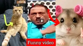 TRY NOT TO LAUNCH 😂🤣 FUNNY Compilation 🤣😂😁 Memes PART   5 