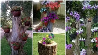 IDÉIAS DE PAISAGISMO COM TRONCOS E PLANTAS! VOCÊ VAI AMAR!
