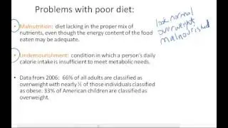 Definition of Malnutrition & Undernourishment