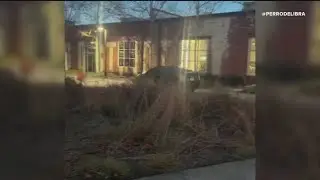 Video shows car on Atlanta Beltline