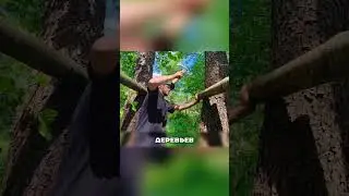 Дом на деревьях, который вернул смысл жизни 🏕️