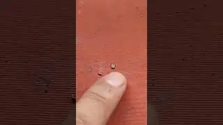 SAMSUNG A12 NO DA BRILLO | FALLA DE BACKLIGTH | BOBINA FISURADA Y CONDENSADOR EN CORTO