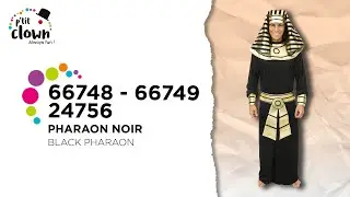 66748 - 66749 - 24756 - Costume pharaon - noir