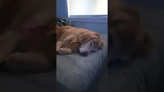 I love watching him sleep 🥰