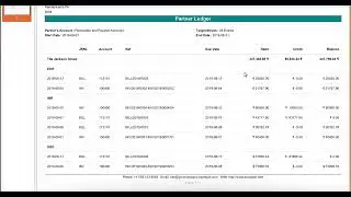 Partner Ledger Multi Currency  Report