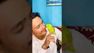 Ghanti 🛎️ vs Mato 🧱 | Nepal Election Comedy 😂🦜 #Shorts