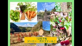 1２月下旬ジーニー・ガスファームツアーです。　ちょっとだったけど、サプライズな収穫がありました♪