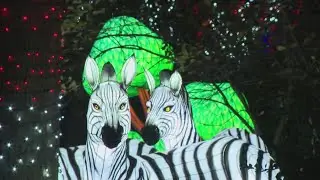 The Nightcap: Zoo Lights returns