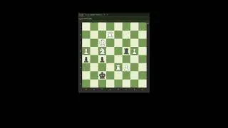 Chess Daily Live Streaming
