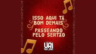 Isso Aqui Tá Muito Bom / Passeando pelo Sertão
