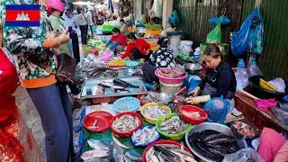 Cambodia Street Market Morning Rush  Fresh Fish, Vendors & Local Life