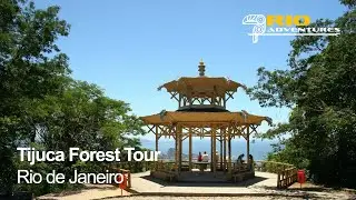 Tijuca Forest Tour in Rio de Janeiro