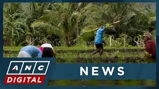 LOOK: Filipino farmers honored by global company | ANC