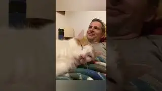 #cat imitates #like owners  #like anothers #cats hate cough and sneeze #angry puppy 😍🤩