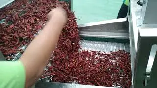 pepper washing machine