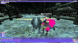 FFXI Assault Stop the Bloodshed (Sergeant) uncapped