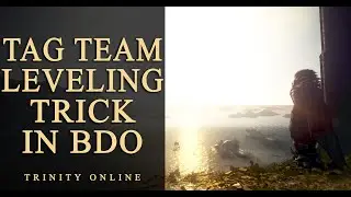 TAG CHARACTER EXP SHARING 2022 HOW TO USE TUTORIAL 2 CHARACTER LEVEL GUIDE BLACK DESERT ONLINE BDO