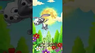 #bunny
