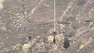 NEVIS BUNGY