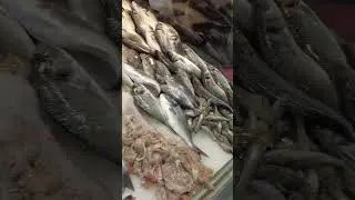Fish on the Turkish market #travel #turkey #t&uuml;rkiye #antalya #market #pazar #fish