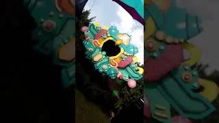 Southwild - Wildthings Records / Chacruna Festival.