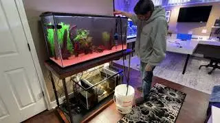 6-in-1 Electric Aquarium Gravel Cleaner | Fish Tank Cleaning Demo & Review