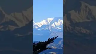 #sandkphu #travelguide #travel #tranding #viralreels #himalayas