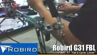 Robird G31 FBL Setup - Tail Travel Limits & Cyclic Ring
