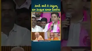 KTR sensational comments on ED | Kalvakuntla Kavitha | TRS | KCR | BJP | Telangana