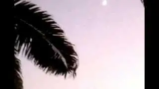 Bats are flying under and over the Moon