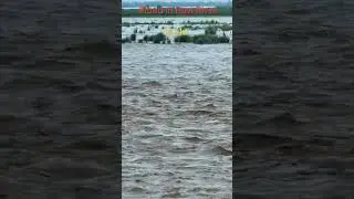 Flood in Ravi River #emergency #flood #biz4u