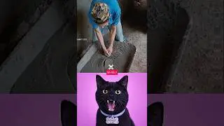 Funny time pass with boys😁 #funny #trending #cat #reels