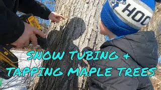 Maple sap pipeline installation after a morning of snow tubing!