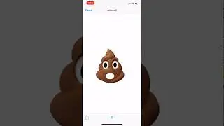 iPhone X Animated Poop Emoji
