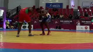 Semifinal FS - 125 kg: Andres RAMOS (CUB) df. Hugo CUNHA (BRA), 5-0
