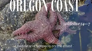 Oregon Cost tidepools and low tide