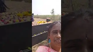 Athamma thadhinam day