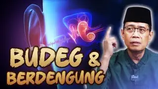 TELINGA BERDENGING DAN BUDEG