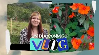 DESCUBRIENDO plantas en una zona RURAL de Antioquia /SAN CARLOS