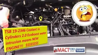 TSB 19 2346 2 0 Ecoboost Coolant in Cylinders water intrusion