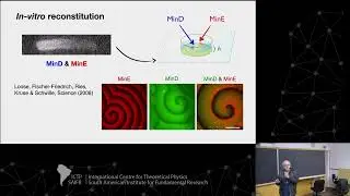 Erwin Frey: Self-organisation and pattern formation in living and synthetic cells - Class 3
