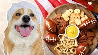 Corgi Hosts Super Bowl Party!