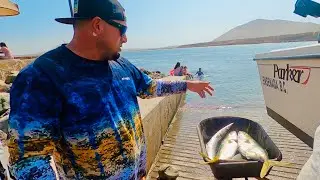 YELLOWTAIL Catch Clean Cook - Fishing for MY FIRST Yellowtail Amberjack (San Quintin, Mexico)