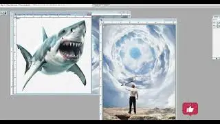 The Big Shark Photo Manipulation Photoshop