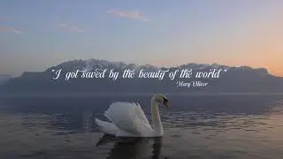 It will open your heart and touch your soul. Peaceful piano playlist.