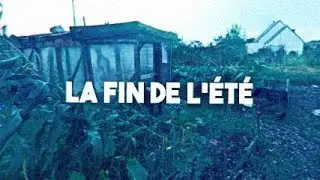 Les récoltes d'Aout et la tempête